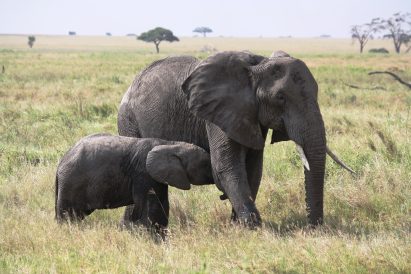 A mother with her baby. (Lynn R. Blamires, Special to the Standard-Examiner)